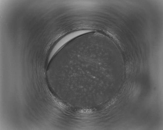 X0000058100353200509301840