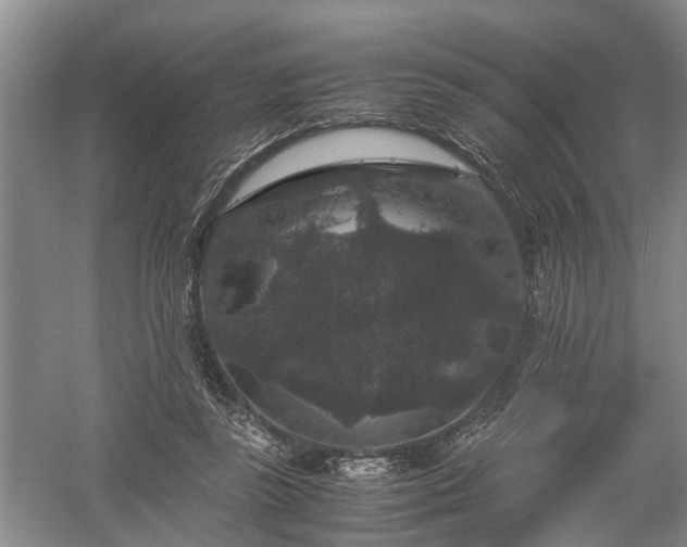 X0000058100355200509301840