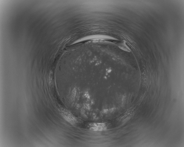 X0000058100361200509301840