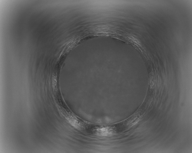 X0000058100365200509301841