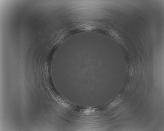 X0000058100366200509301841