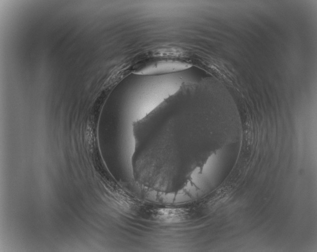 X0000058100371200509301841