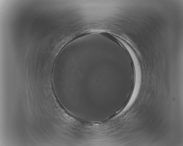 X0000058100385200509301840