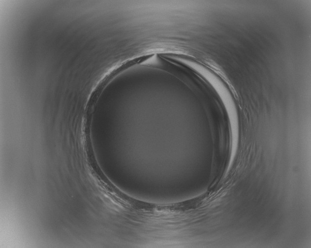 X0000058100387200509301840