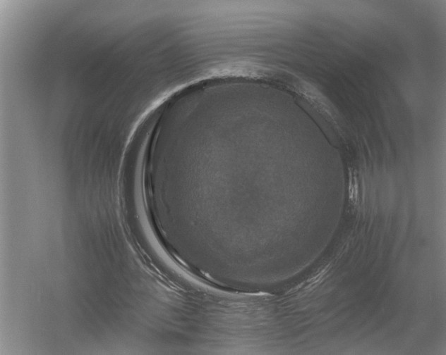 X0000058100388200509301840