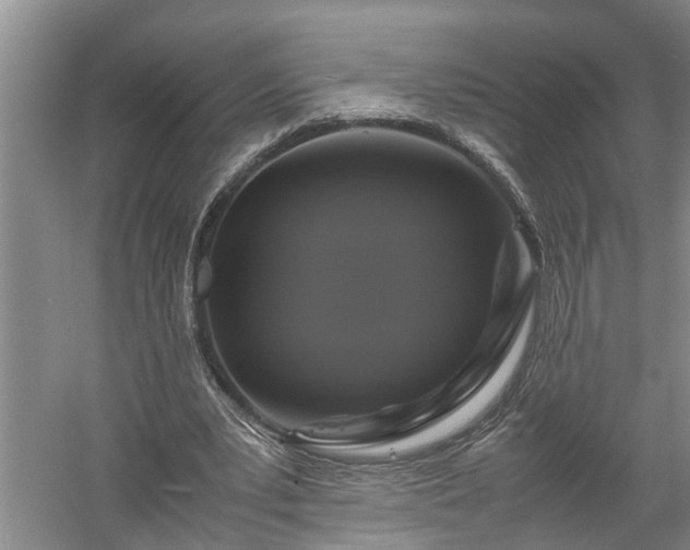 X0000058100391200509301840