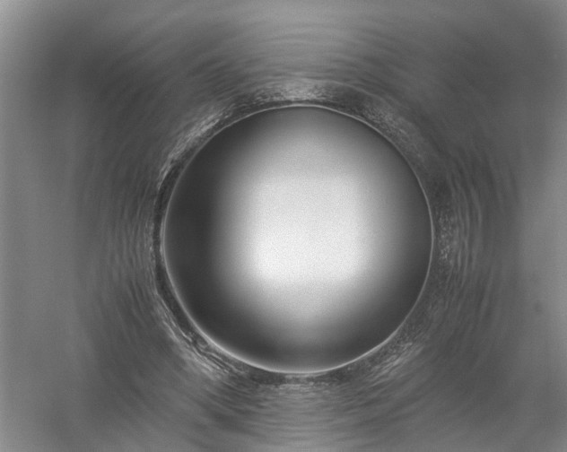 X0000058100394200509301840