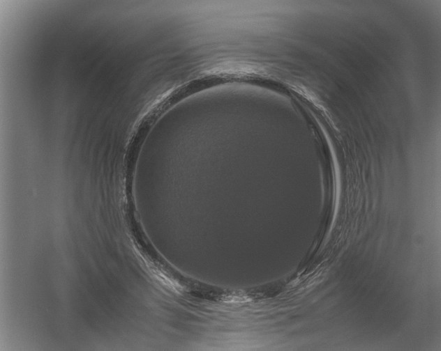 X0000058100399200509301840