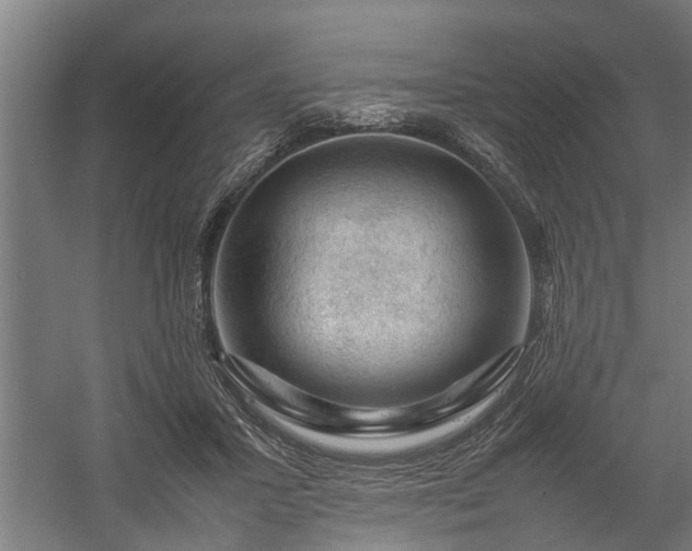 X0000058100407200509301840