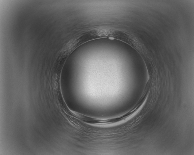 X0000058100413200509301840