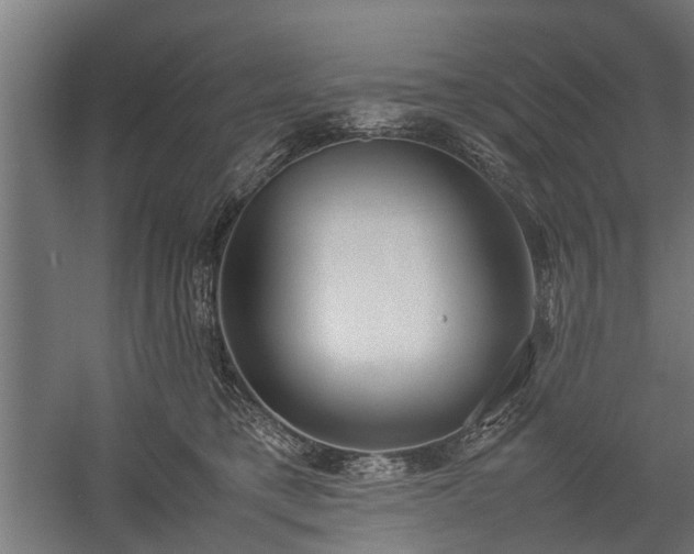 X0000058100421200509301839