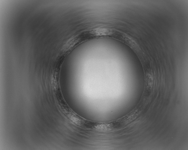X0000058100422200509301839