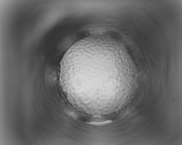 X0000058100431200509301839