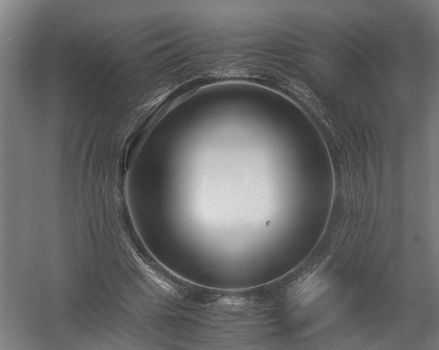 X0000058100441200509301839