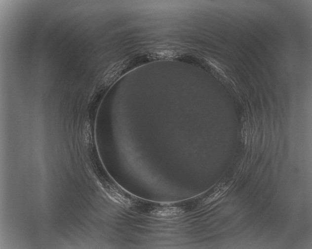 X0000058100459200509301839