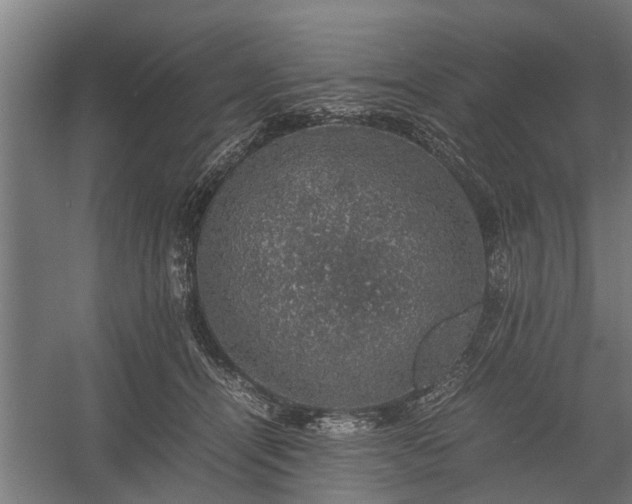 X0000058100464200509301839