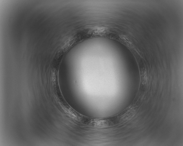 X0000058100472200509301839