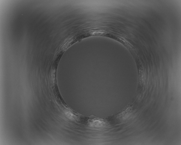 X0000058100475200509301839