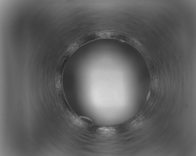 X0000058100477200509301839