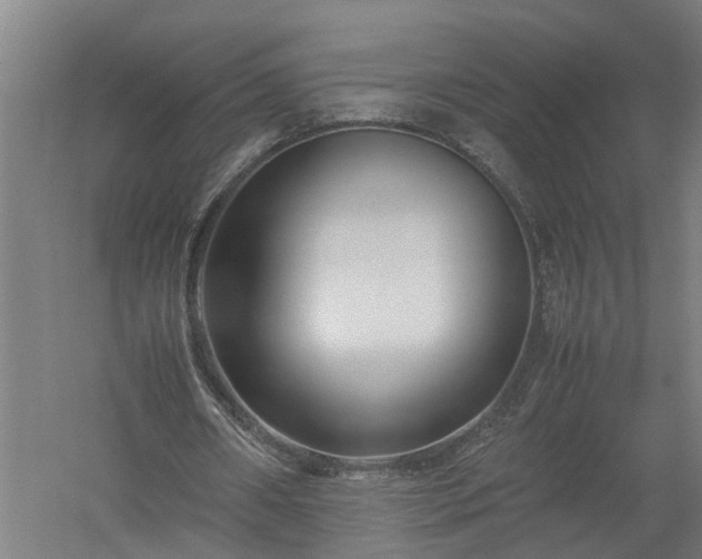 X0000058100482200509301838