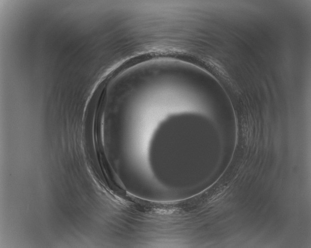 X0000058100488200509301838
