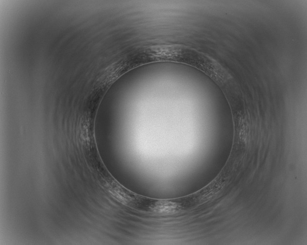 X0000058100514200509301838