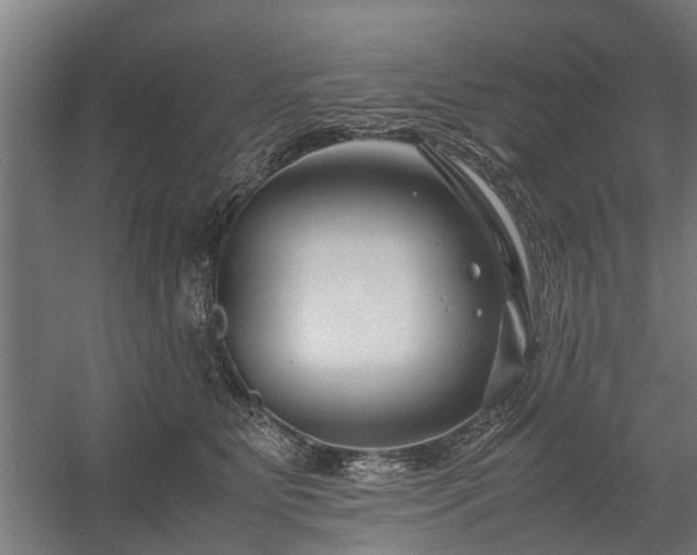 X0000058100515200509301838