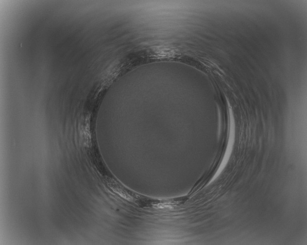 X0000058100516200509301838