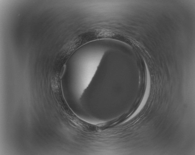 X0000058100517200509301838