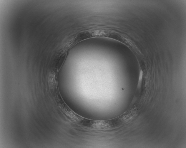 X0000058100521200509301838