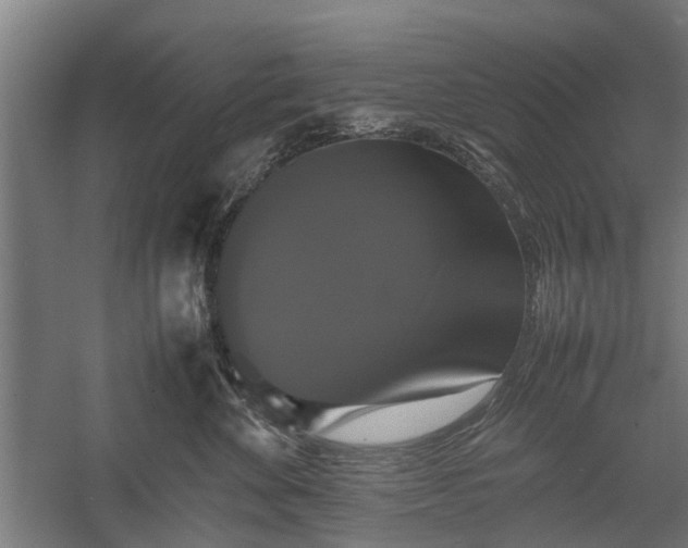 X0000058100524200509301838