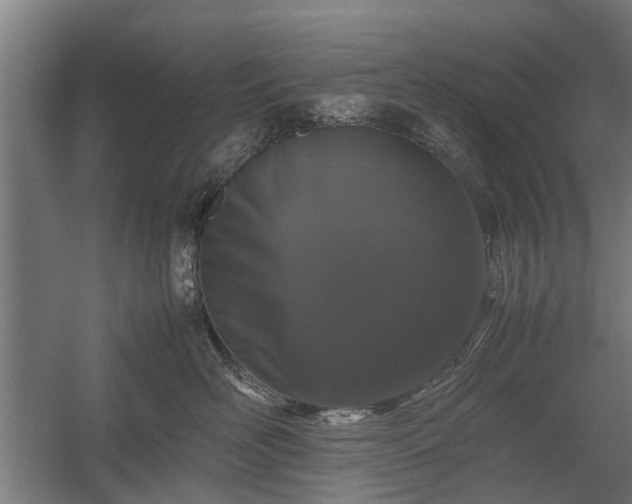 X0000058100526200509301838