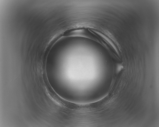 X0000058100530200509301837