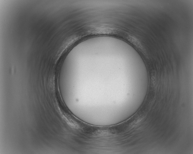 X0000058100534200509301837