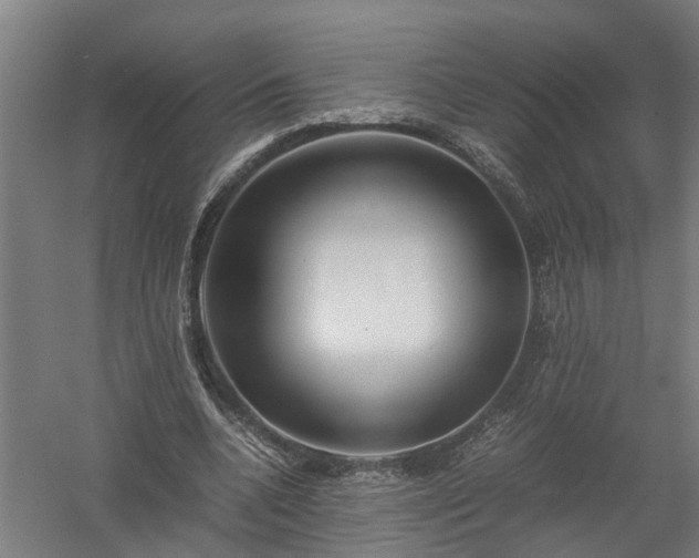 X0000058100536200509301837