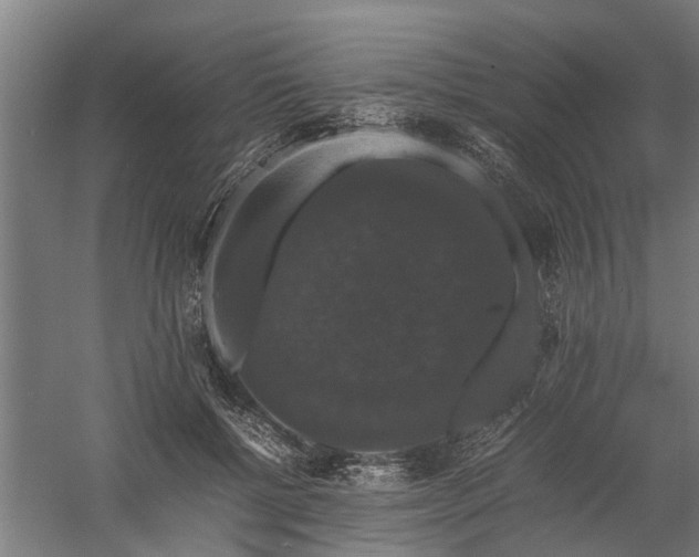 X0000058100552200509301837
