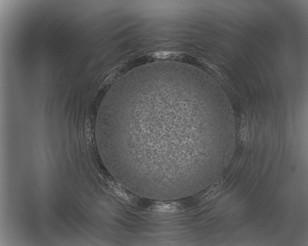 X0000058100569200509301837