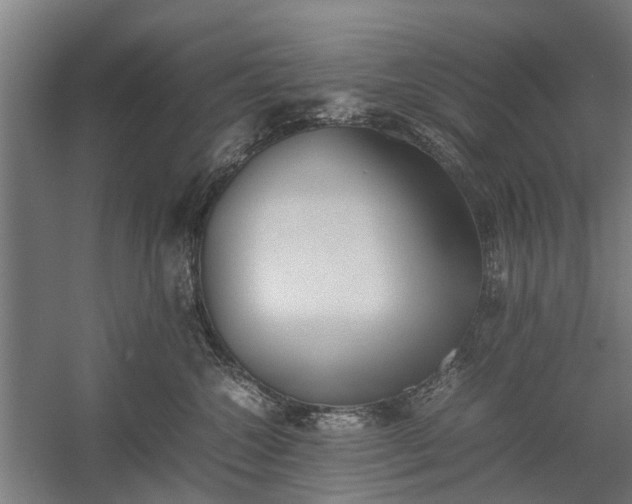 X0000058100572200509301838
