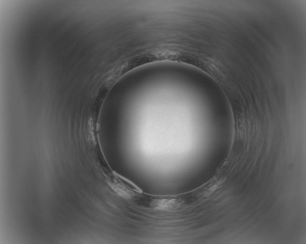 X0000058100575200509301838