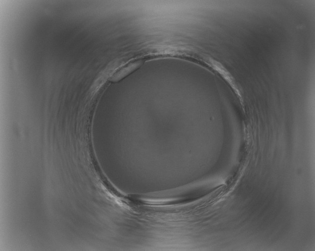 X0000058100577200509301837