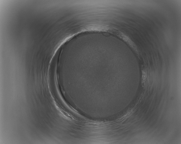 X0000058100580200509301837
