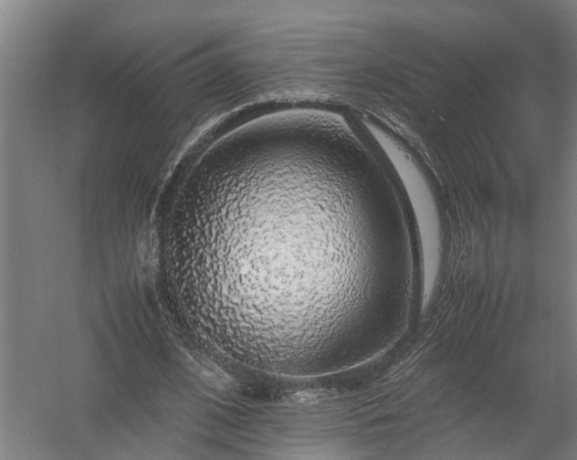 X0000058100584200509301837