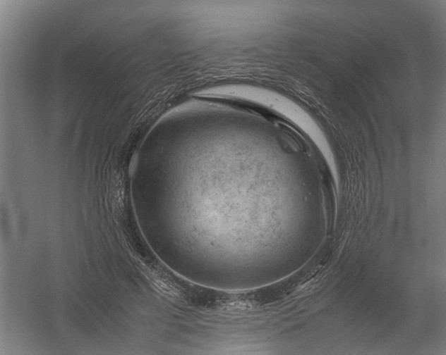 X0000058100593200509301837