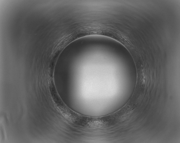 X0000058100594200509301837