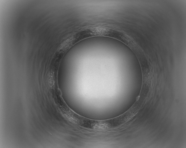 X0000058100599200509301836