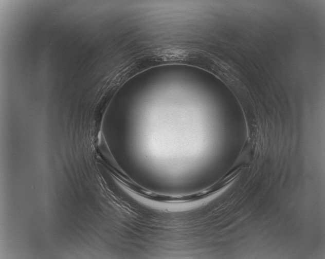 X0000058100604200509301836