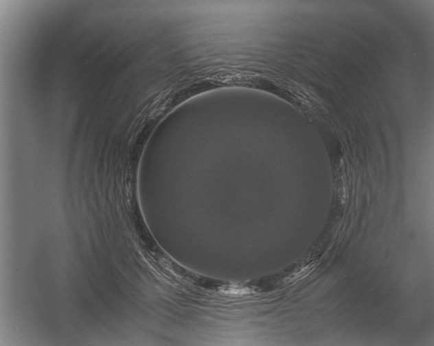X0000058100607200509301836