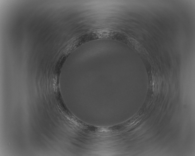 X0000058100610200509301836