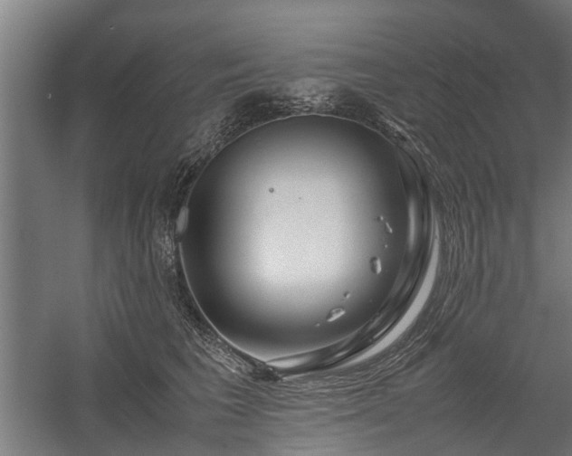 X0000058100613200509301836