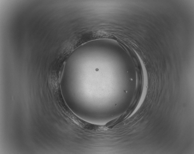 X0000058100617200509301836